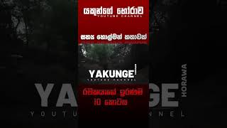 රචකයාගේ ඉරණම 10  sinhala holman katha සිංහල holman හොල්මන් horror horrorfan horrormovie [upl. by Anitrebla]