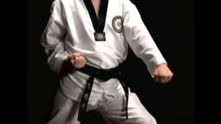 Basic Motions  MAKKI  Taekwondo Technics in English HD [upl. by Llig986]