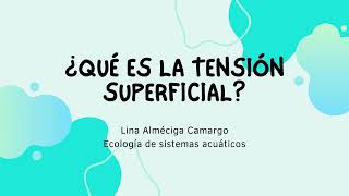 ¿Qué es la tensión superficial [upl. by Savill]