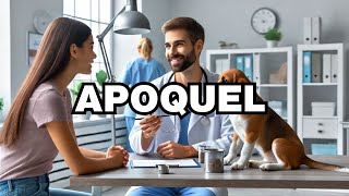 How Does Apoquel Work For Dogs Explained [upl. by Jaunita]