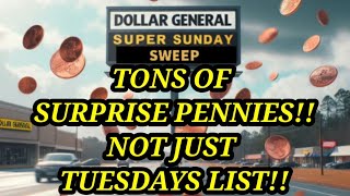 PENNIES TODAY Food  Pet Food Coffee  Meds Dollar General [upl. by Floss917]