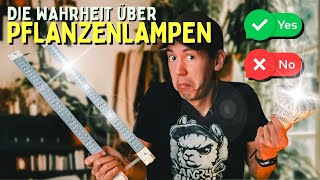 Pflanzenlampe 🤯 Hui oder Pfui  Wie viel Licht braucht deine Pflanze [upl. by Zolner]