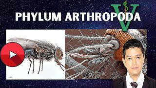 VET PARA 1  Phylum Arthropoda Part 1  Chapter 3 [upl. by Kiyohara227]