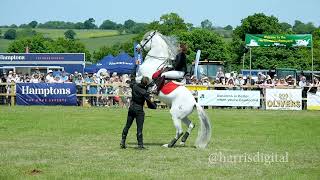 Atkinson Sports Horses captured in slow motion at the Herts County Show 2023 [upl. by Mccandless]