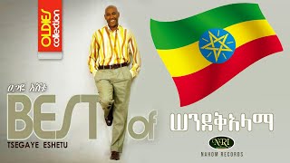 Tsegaye Eshetu  Sendekalama  ፀጋዬ እሸቱ  ሰንደቅአላማ  Ethiopian Music [upl. by Akinimod111]