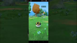 Catch new pokemon Dreepy hundo lv35 pokemongo [upl. by Norraf297]