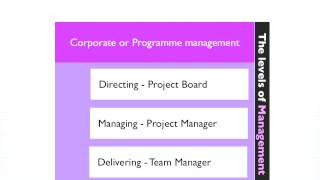 PRINCE2 Certification Exam  Team Organization Structure  ProjectingIT [upl. by Annia231]