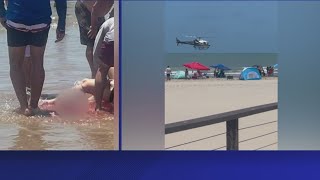 Several people attacked by same shark during July Fourth celebrations in Texas officials say [upl. by Plantagenet]