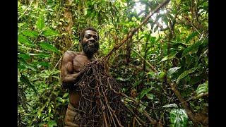 Guardians Of The Congolian Rainforests  The Pygmies Of The Congo  The World Shortest Tribe [upl. by Rella266]