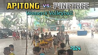 Apitong vs Pinetree Volleyball Poblacion Summer League 2024 Women [upl. by Hguh736]