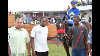 JAMAICA RACING Equinox Wins On Debut  Sat Aug 10 2024 8th [upl. by Karb]