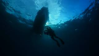 Tubo Volcánico de Garachico buceo  Visit Tenerife [upl. by Wallach301]