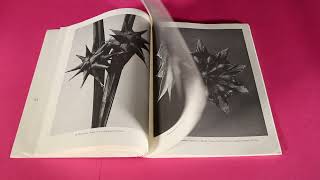 Karl Blossfeldt  Natural Art Forms Zohar Barazani [upl. by Bogusz949]