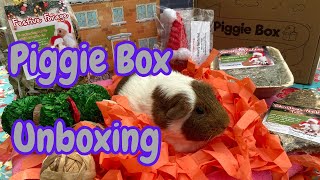 Unboxing the Christmas Piggie Box [upl. by Alekehs961]