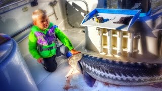 quot 3 YEAR OLD KID CATCHES BIG STURGEON quot [upl. by Harvard]