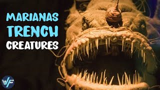 6 of the Scariest Creatures From the Mariana Trench [upl. by Merri]