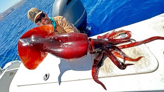 I Caught a Giant Squid in the Middle East [upl. by Ravahs46]