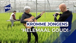 Kromme Jongens brengen na 13 jaar nieuwe muziek uit [upl. by Terrye]