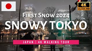 ⛄️First snow of 2024 in Tokyo Marunouchi【4K Walking】202425 [upl. by Nylcoj]