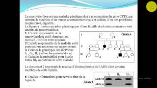 Exercice 1 la génétique humaine [upl. by Akemyt]