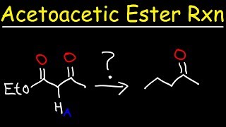 Acetoacetic Ester Synthesis Reaction Mechanism [upl. by Ellesig]