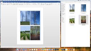 How to insert an image in word with perfect dimensions  Microsoft Word Tutorials [upl. by Hanima]