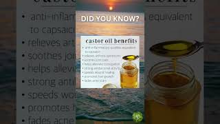 Health Benefits of Castor Oil [upl. by Elletsirk228]