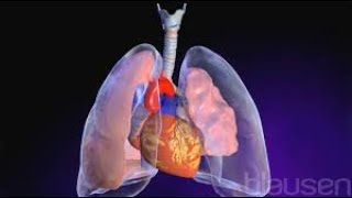 Pneumothorax  causes X ray treatment  spontaneous and tension pneumothorax  Medicine Lecture [upl. by Sergeant]