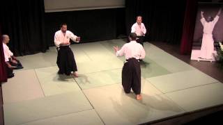 NAMT 2013 avec Xavier Fleury AIKIBUDO [upl. by Ansley]