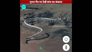 गूगल मैप पर देखें सांप का कंकाल  Google maps Amazing video shorts [upl. by Berkin]