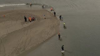 Whitebait Season Opening Day 2023  Clutha River Mouth [upl. by Ursala]