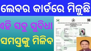 labour card  labour card benifits  ଲେବର କାର୍ଡରେ ମିଳୁଛି ଏହି ଛଟି ବଡ଼ ସୁବିଧା ଆପଣମାନେ ପାଇପାରିବେ [upl. by Celestyn]