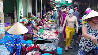 Vietnam  Exploring Mekong Delta [upl. by Elacsap]