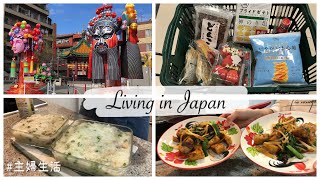 JAPAN VLOG  Prepare for Chinese New Year Grocery Shopping and Make the Taste of my Childhood [upl. by Ariahs]