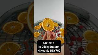 Test du Déshydrateur HKoenig DSY700  la Déshydratation à Petit Prix  🍎🍇🍓 [upl. by Idurt832]