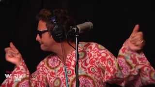 The Polyphonic Spree  quotPopular By Designquot Live at WFUV [upl. by Dolly]