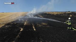 Großflächiger Feldbrand in Kematen am Innbach erfordert Einsatz von acht Feuerwehren [upl. by Aikin]