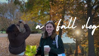 a cozy fall vlog as a college student  charcuterie boards baking and hiking [upl. by Eednak]