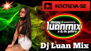 Reggae Rmx Medley 3 Romântico Dj Luan Mix [upl. by Dukey]