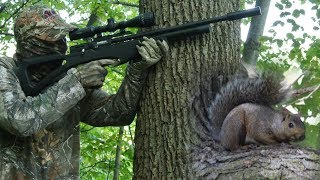 Airgun HuntingHow to Hunt Squirrels with an Air Rifle [upl. by Mendie85]