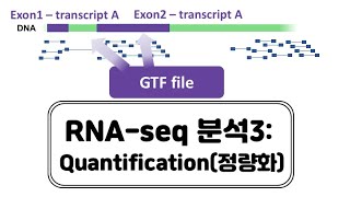 RNAseq3 Read counts using FeatureCounts [upl. by Caniff529]