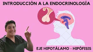 Introducción a Endocrinología FISIOLOGÍA [upl. by Ermeena]