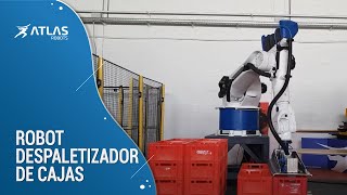 Robot despaletizador de cajas  Atlas Robots [upl. by Grimaldi]