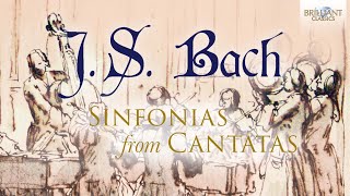 JS Bach Sinfonias from Cantatas [upl. by Eihs778]