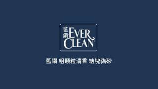 Ever Clean 藍鑽貓砂。國際好評 真實推薦 [upl. by Lanae609]