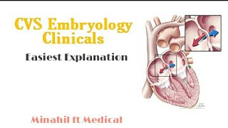 Important CVS Embryology Clinicals  Part 1  Super Easy to Understand [upl. by Nonarb]