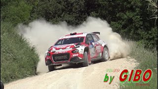 31° Rally Adriatico 2024 [upl. by Graner]