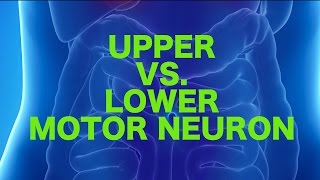 Hoffmanns Sign or Reflex  Upper Motor Neuron Lesion [upl. by Hal]