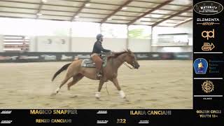 Maturity 2024  ILARIA CANCIANI amp MAGICO SNAPPER score 212 [upl. by Dearr688]