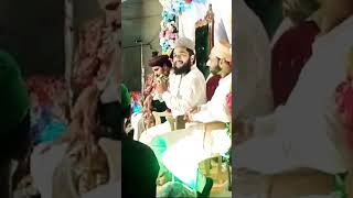 new nara sarkar ki amad marhaba by hafiz asad ali mahboobi allama ameen mahboobi rubab amaltas [upl. by Ayamat]